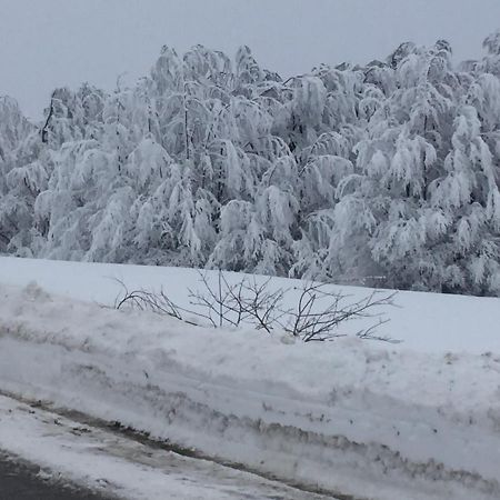 Golija Vikendica Cesta Vrela Βίλα Raška Εξωτερικό φωτογραφία