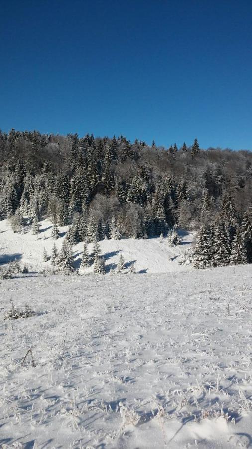 Golija Vikendica Cesta Vrela Βίλα Raška Εξωτερικό φωτογραφία